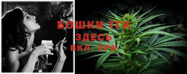 мдпв Зеленодольск