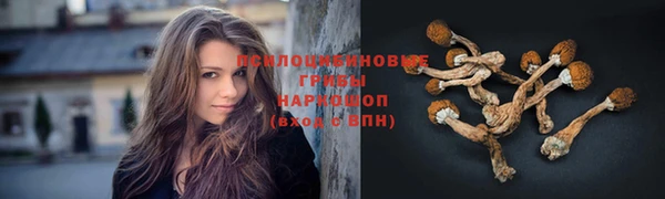альфа пвп Зеленокумск