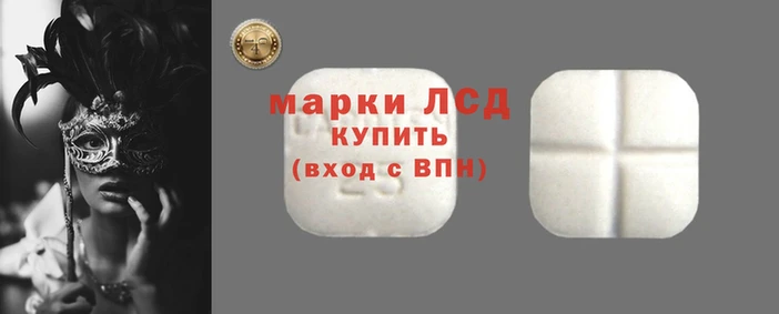 гидропоника Зерноград